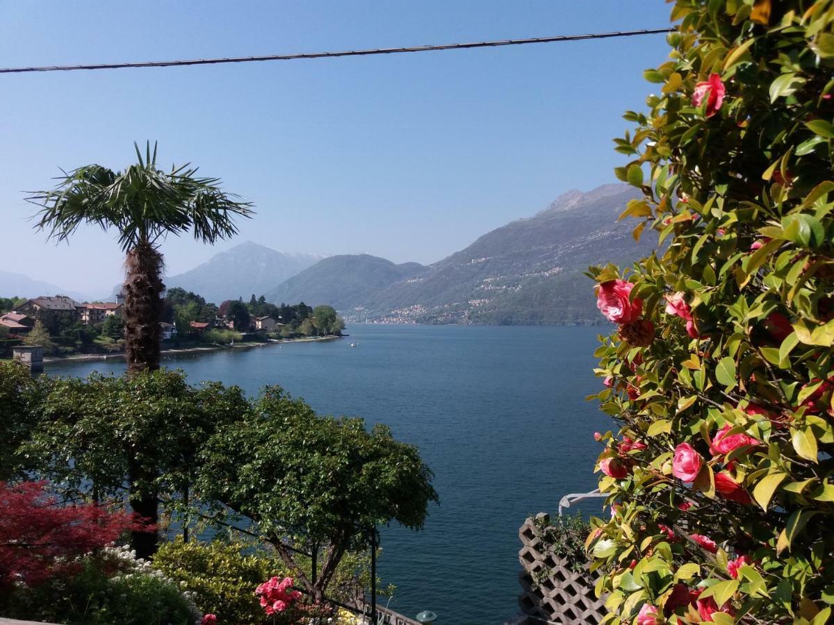 Villa Plinio Lago Di Como Dervio Ngoại thất bức ảnh
